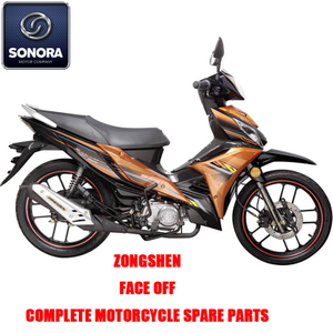Zongshen FACE OFF Complete Engine Body Kit Spare Parts Original Spare Parts
