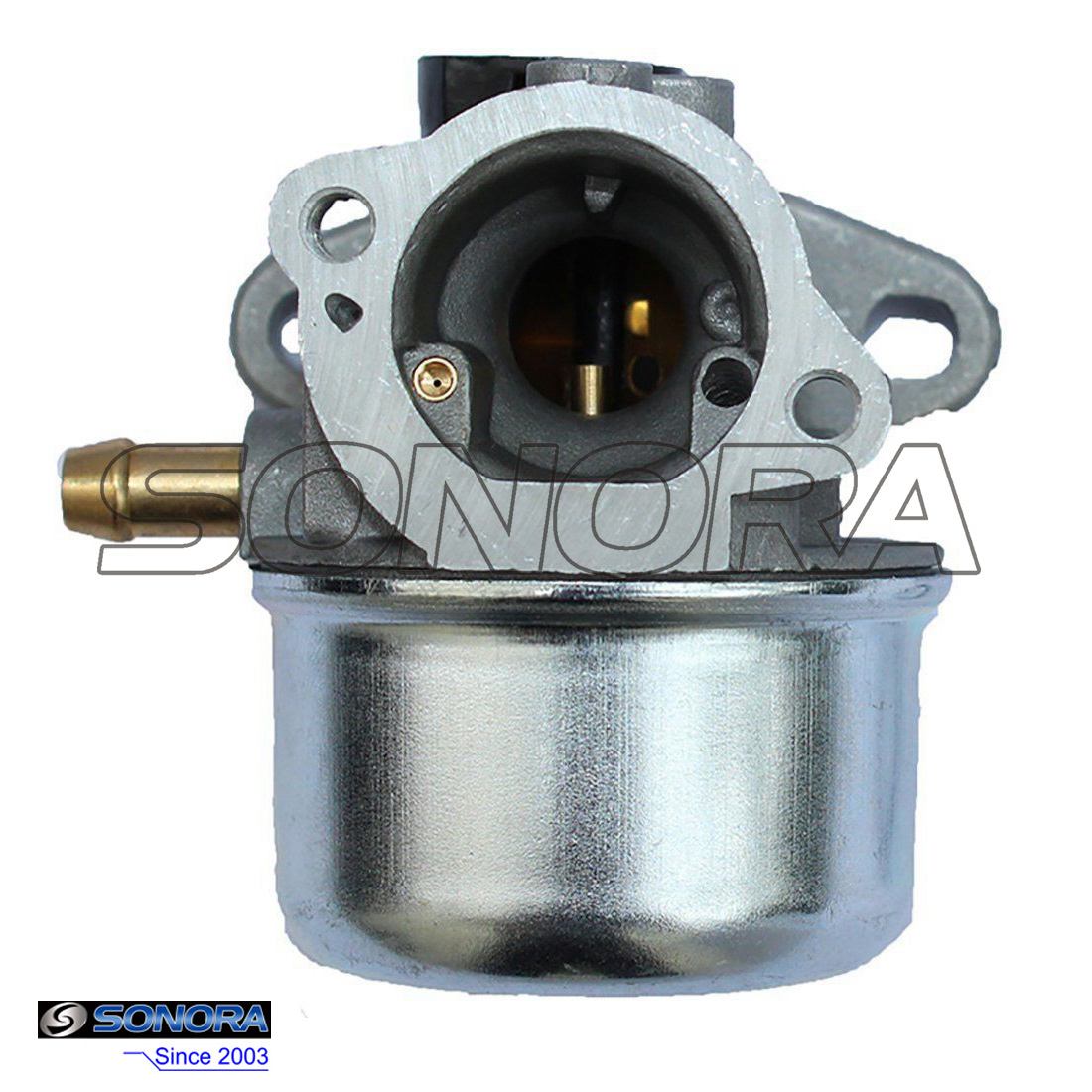 BRIGGS & STRATTON 498170 Carburador