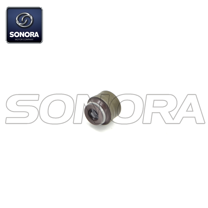 100200729 sello, v&aacute;lvula, v&aacute;stago (3)