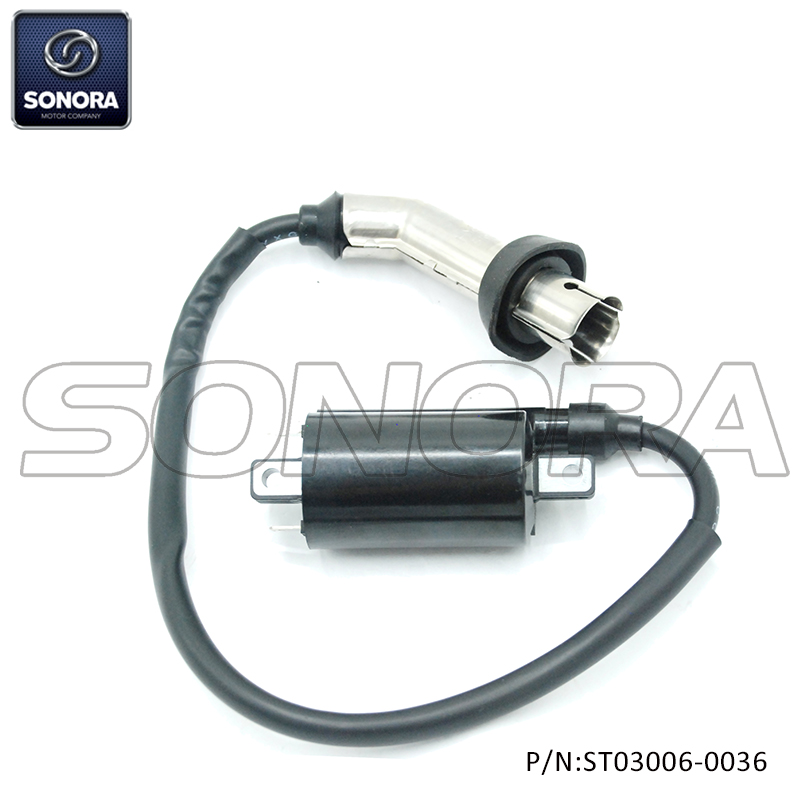 COIL ASSY IGNITION for lexmoto aspire 125 NKD125-F20-10003 （P/N:ST03006-0036）top quality 
