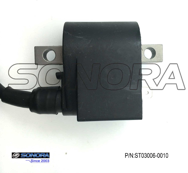 Puch Sachs Zundapp Kreidler Ax100 Ignition Coil P N