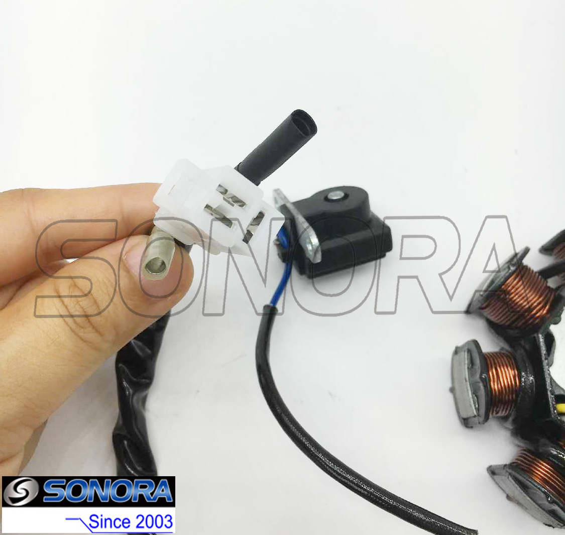 Benzhou Scooter Bobina de ignici&oacute;n