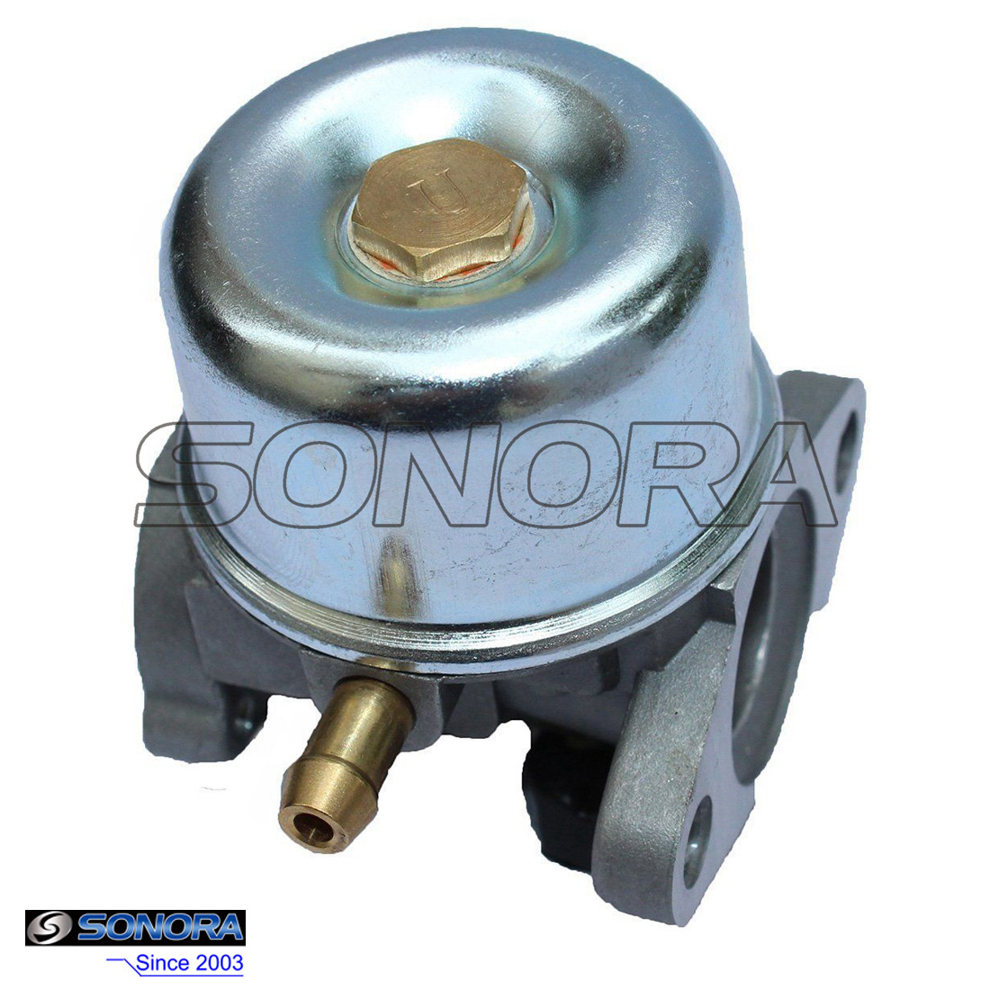 BRIGGS Y STRATTON 799868