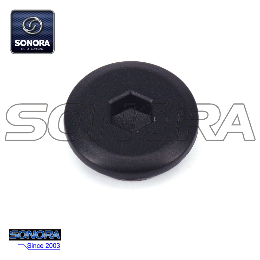 Enchufe de sincronizaci&oacute;n NC250 (1)