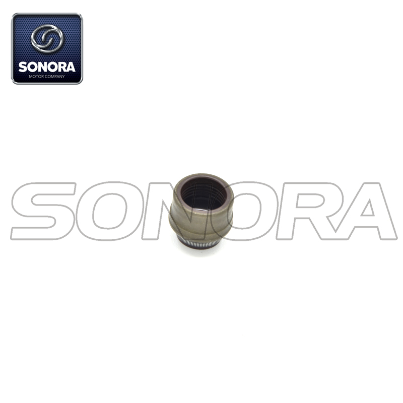 100200729 sello, v&aacute;lvula, v&aacute;stago (4)