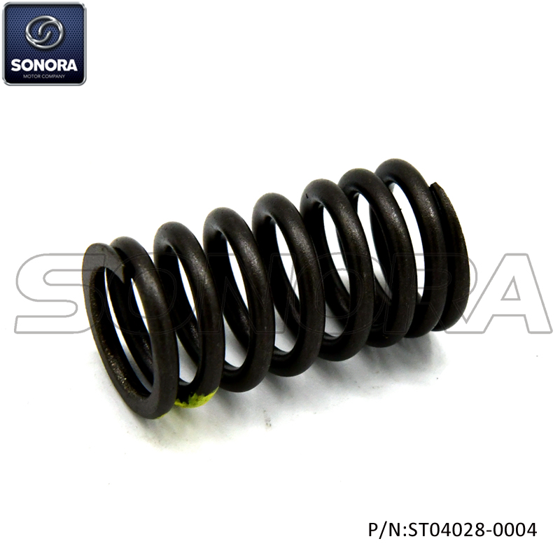 Muelle de v&aacute;lvula SYM MIO