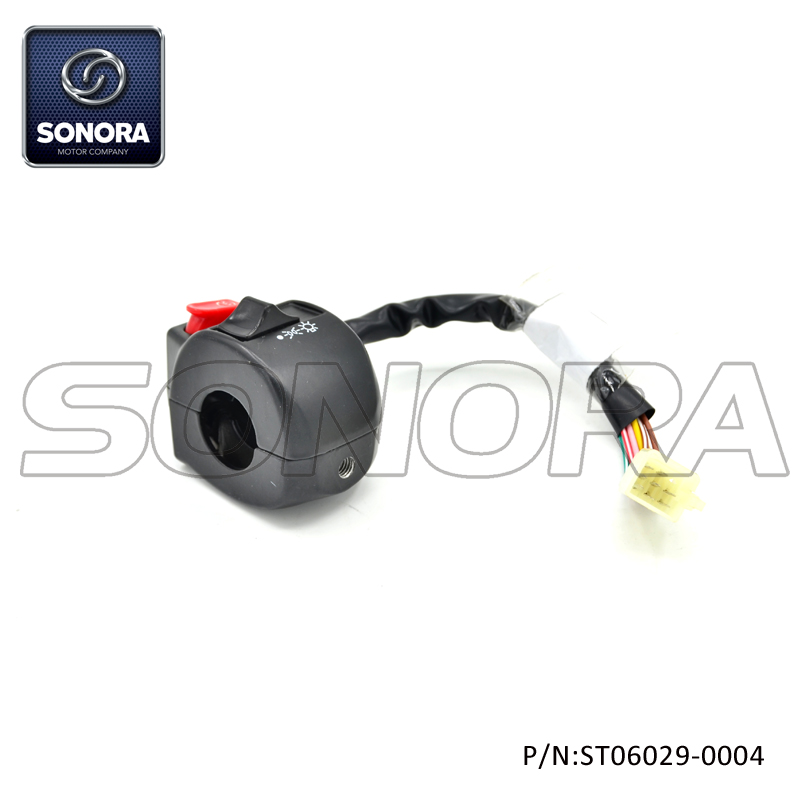 ST06029-0004 BT49QT-20cA4 Interruptor de manija R (1)