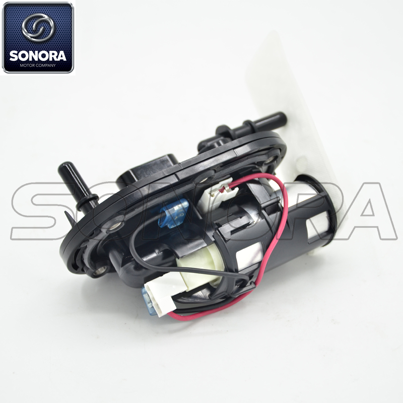 100105420 conjunto de bomba de combustible (4)