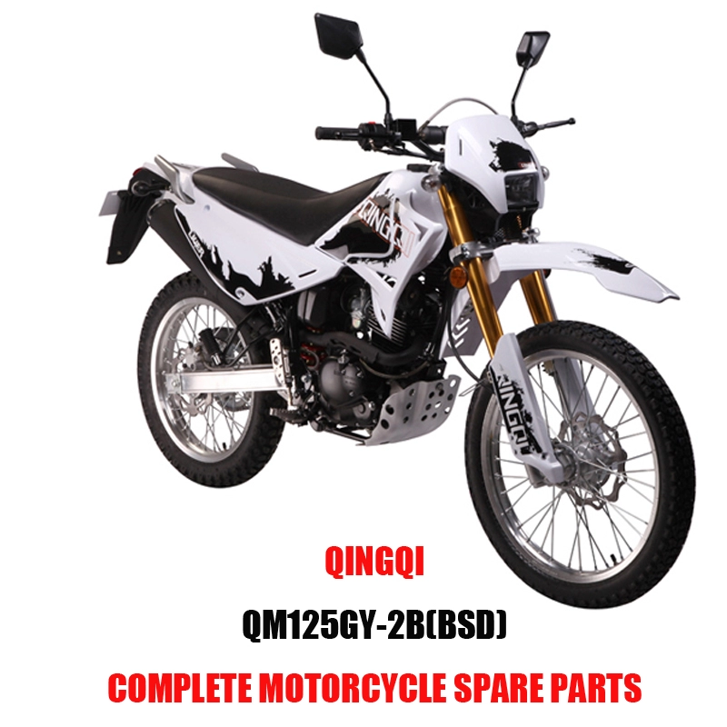 QINGQI QM125GY-2B (BSD)