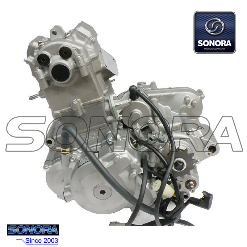 Juego completo de motor Zongshen NC250 (2)