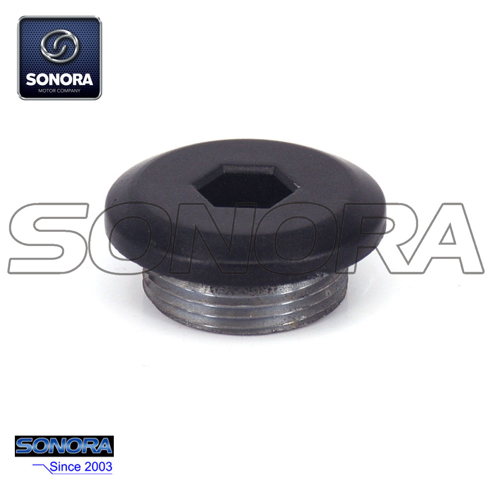 Enchufe de sincronizaci&oacute;n NC250 (3)