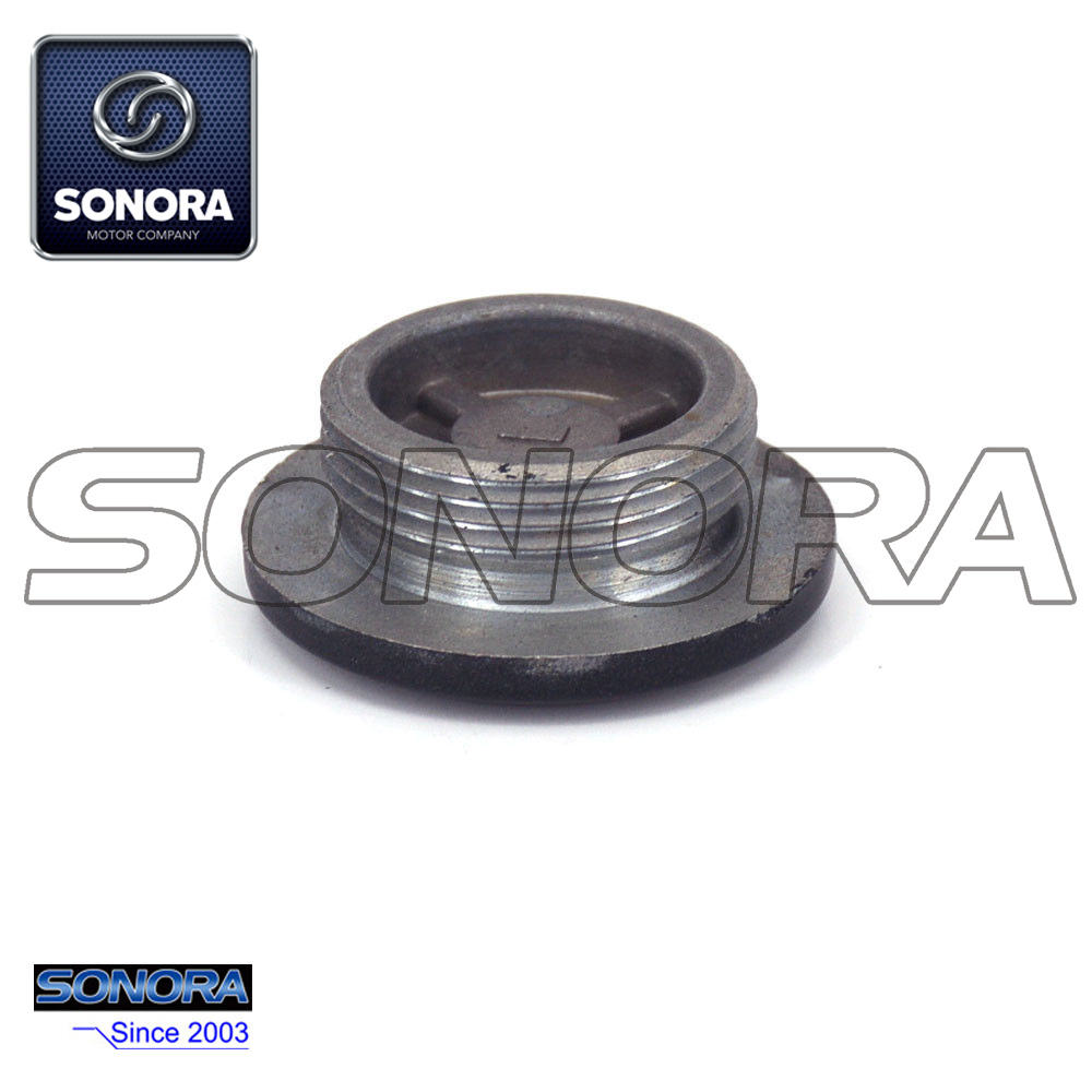 Enchufe de sincronizaci&oacute;n NC250 (4)