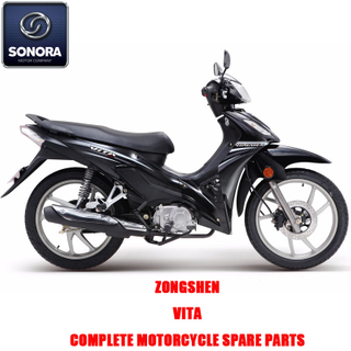 Zongshen VITA Complete Engine Body Kit Spare Parts Original Spare Parts