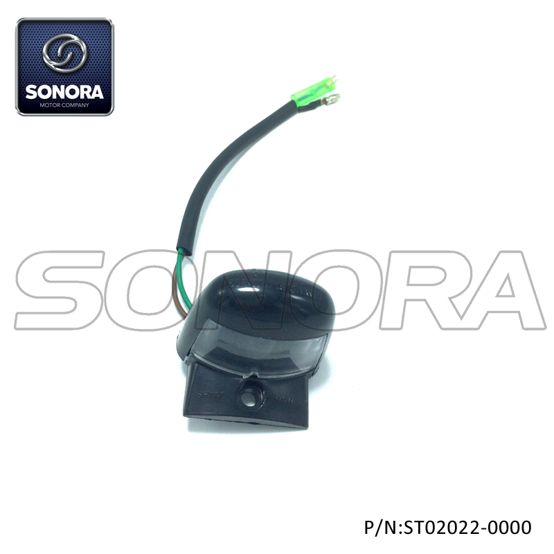 Luz de matr&iacute;cula LONGJIA