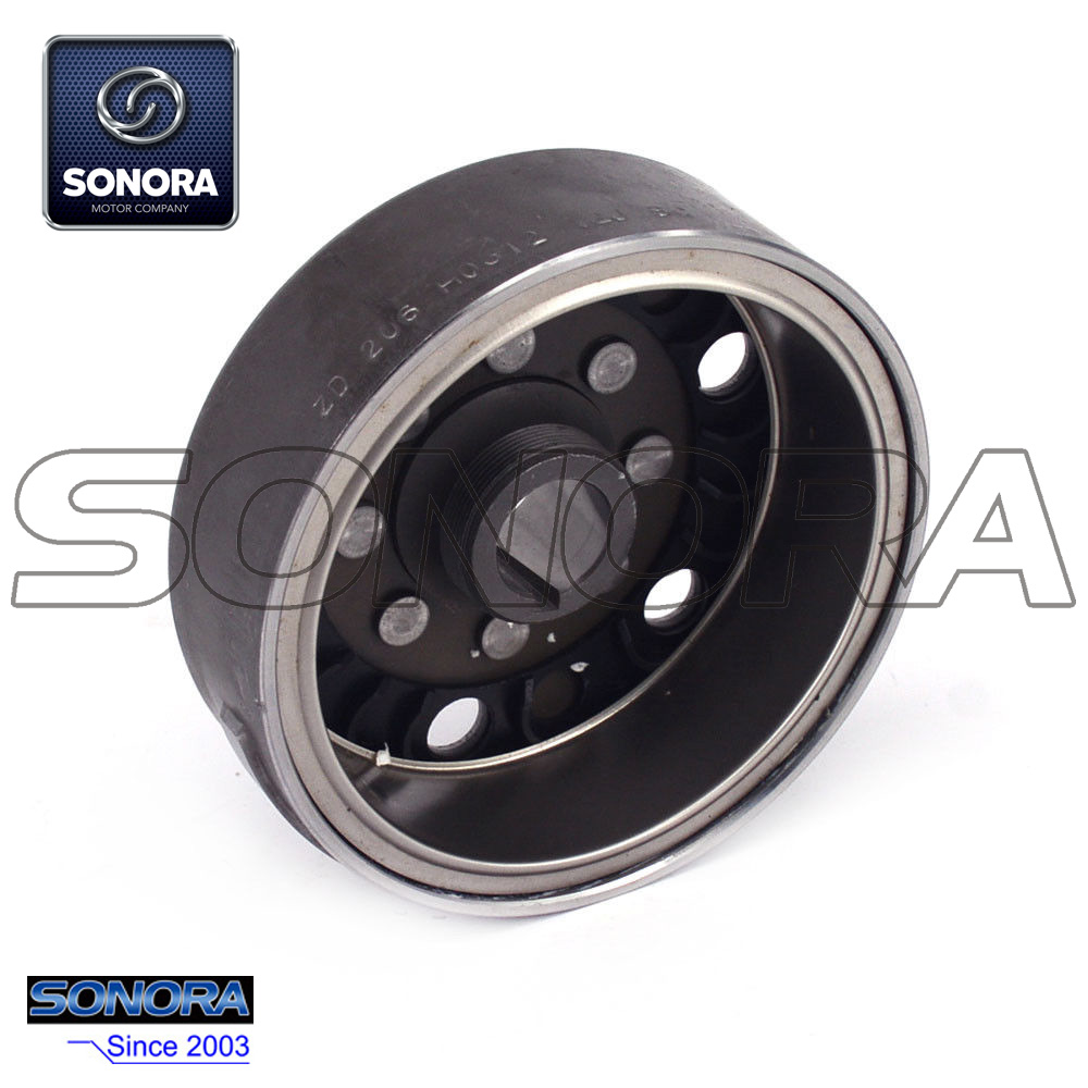 Rueda volante del estator del motor NC250 (4)