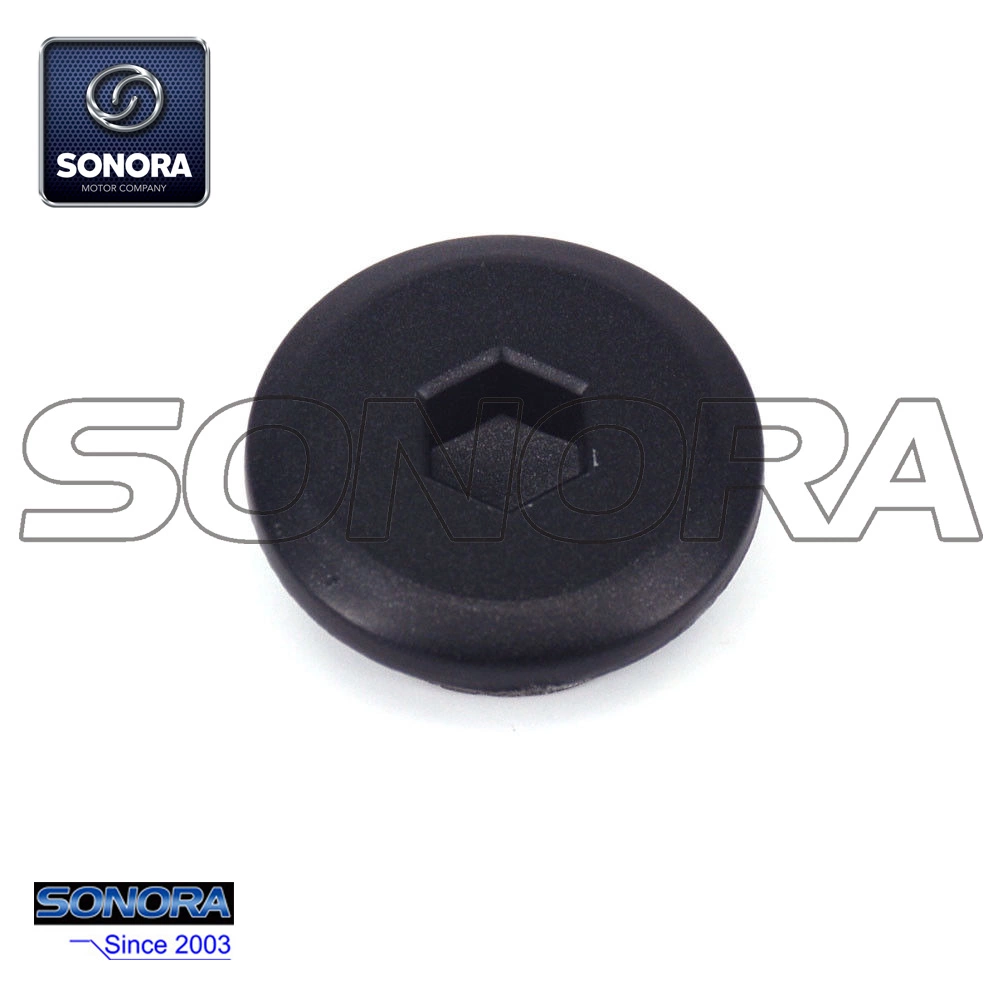 Enchufe de sincronizaci&oacute;n