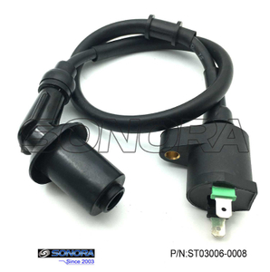 Qingqi Scooter QM125T-10H Coil Ignition(P/N:ST03006-0008) top quality