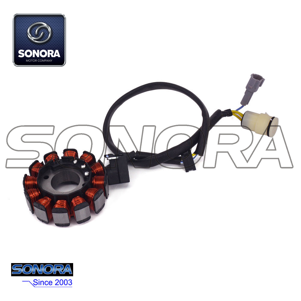 Bobina del estator NC250 1