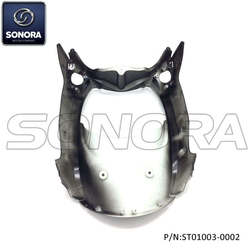 Panel frontal principal para Longjia