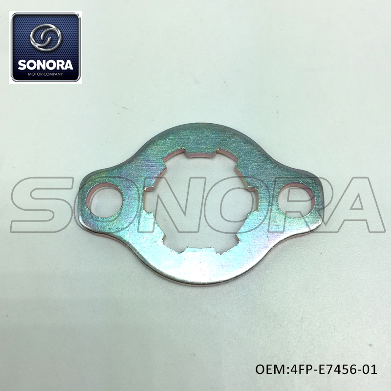 4FP-E7456-01