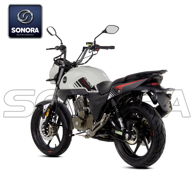 ACUARIO PARA NI&Ntilde;OS 125 (4)