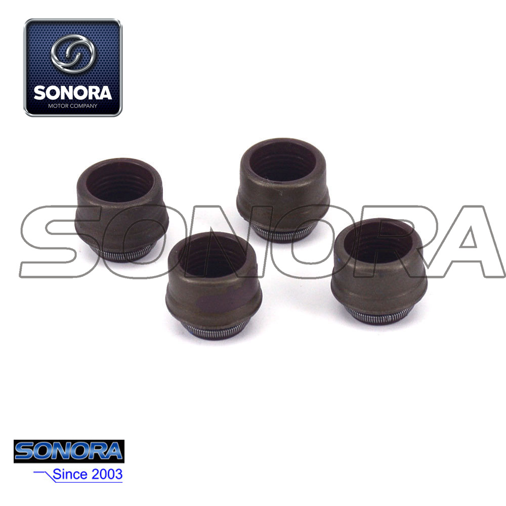 Kit de v&aacute;stago de v&aacute;lvula de motor NC250 (2)